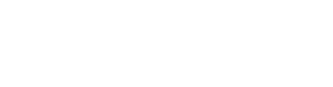 Debison Development Inc.